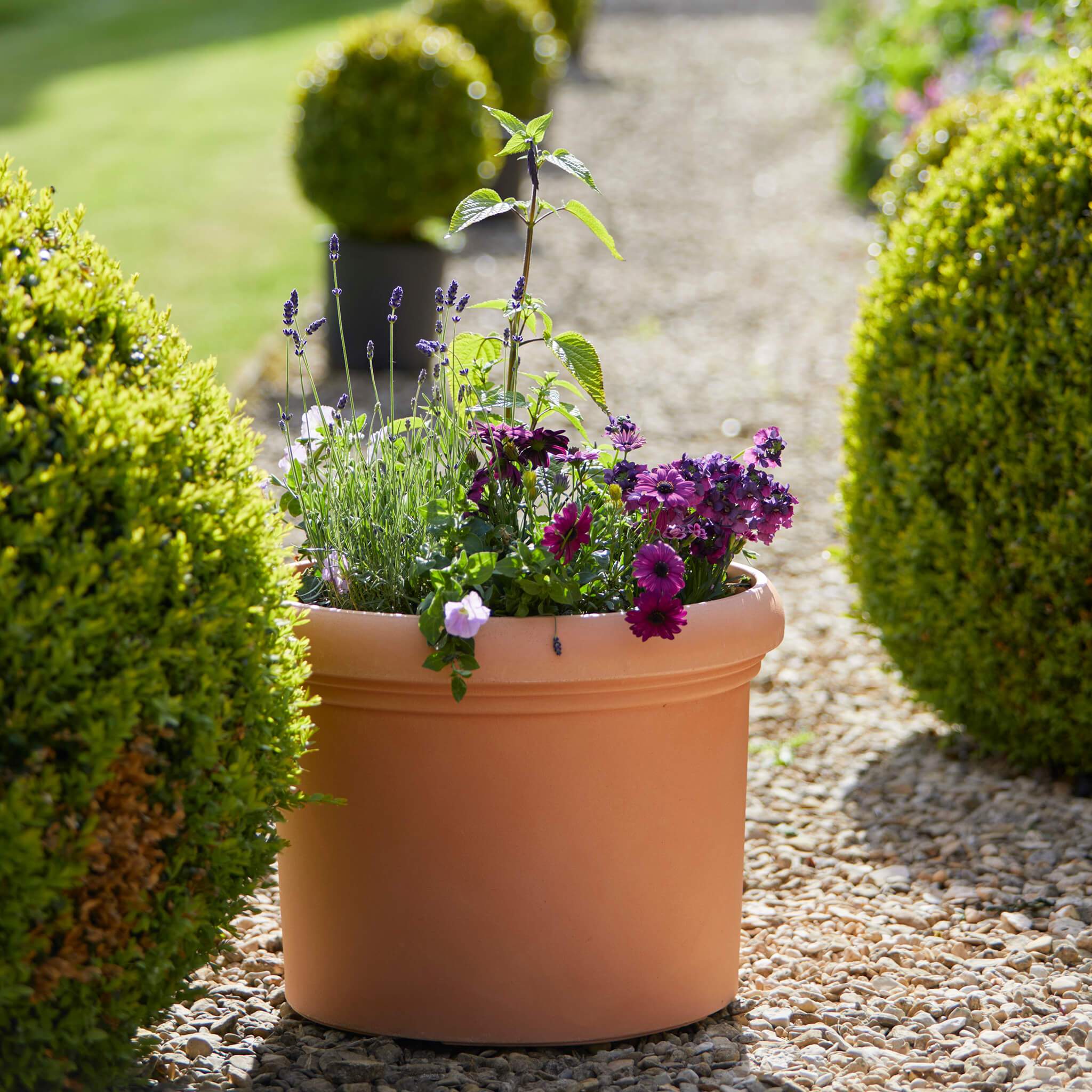 Make a statement: Best extra large pots for indoor & outdoor plants