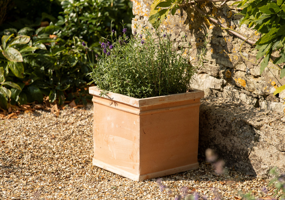 How to Age or Colour Your Terracotta Pots