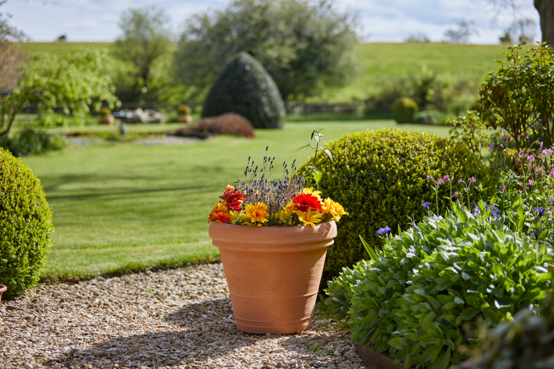 Choosing pots for your space - Gardenesque