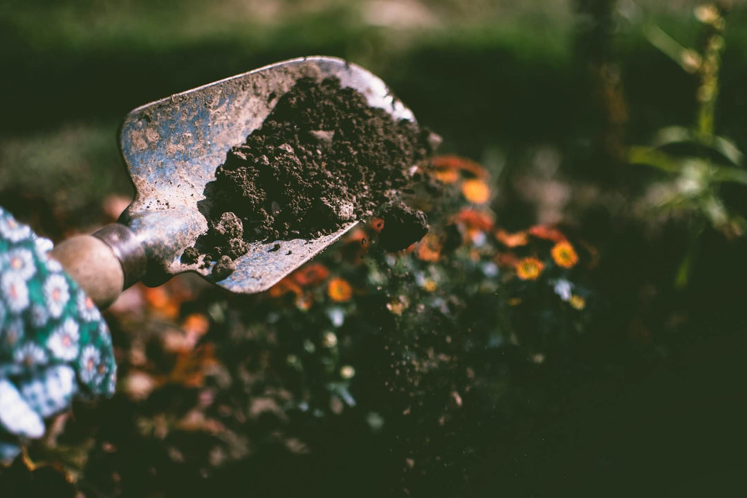 A Beginners Gardening Journey – know your garden soil