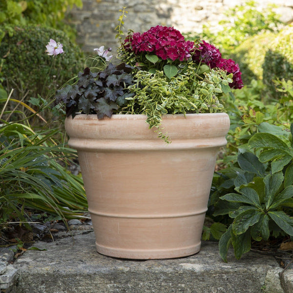 How to take care of Terracotta Pots