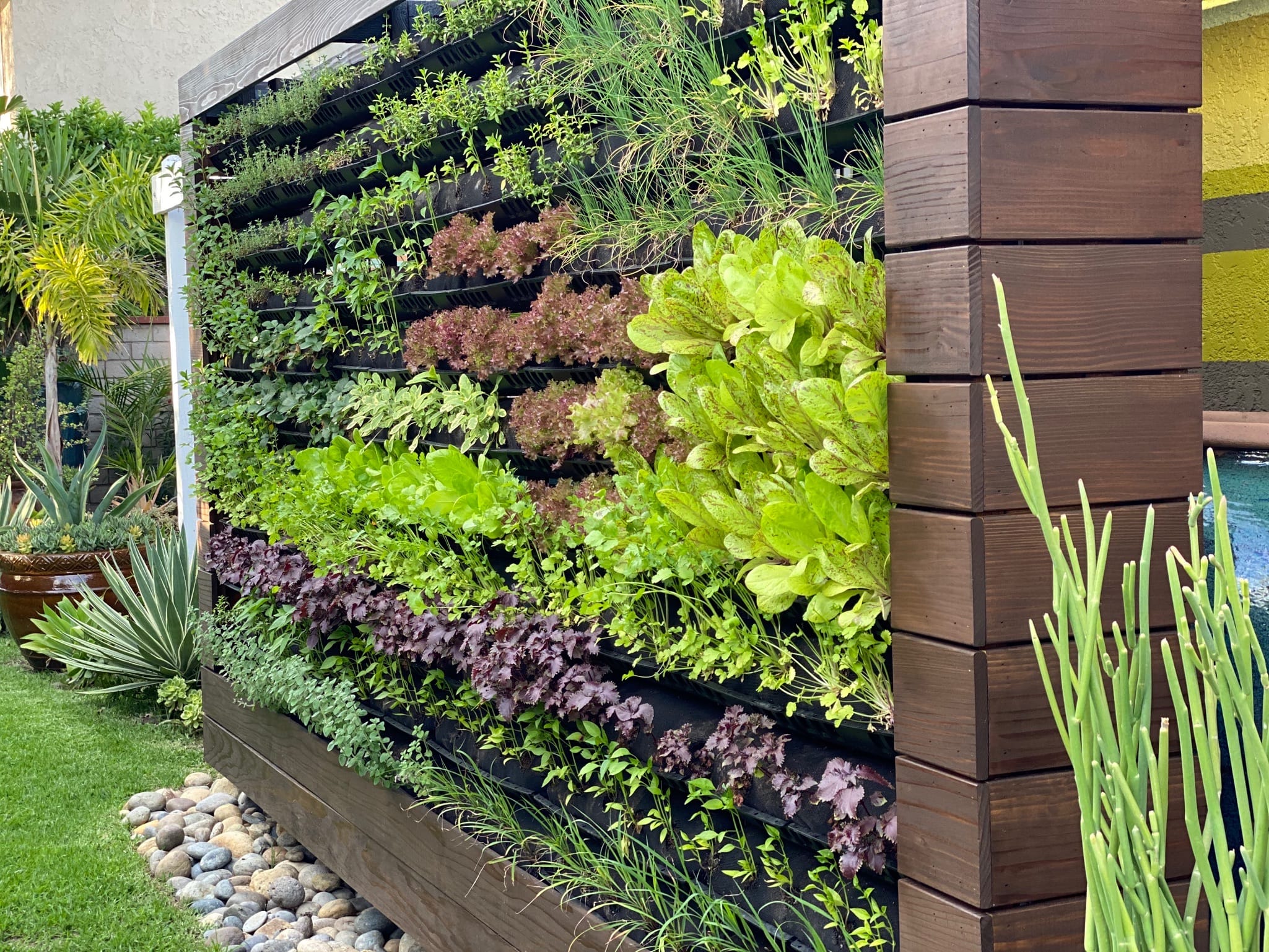 What You Need to Know About Vertical Gardening in 2024 | Gardenesque