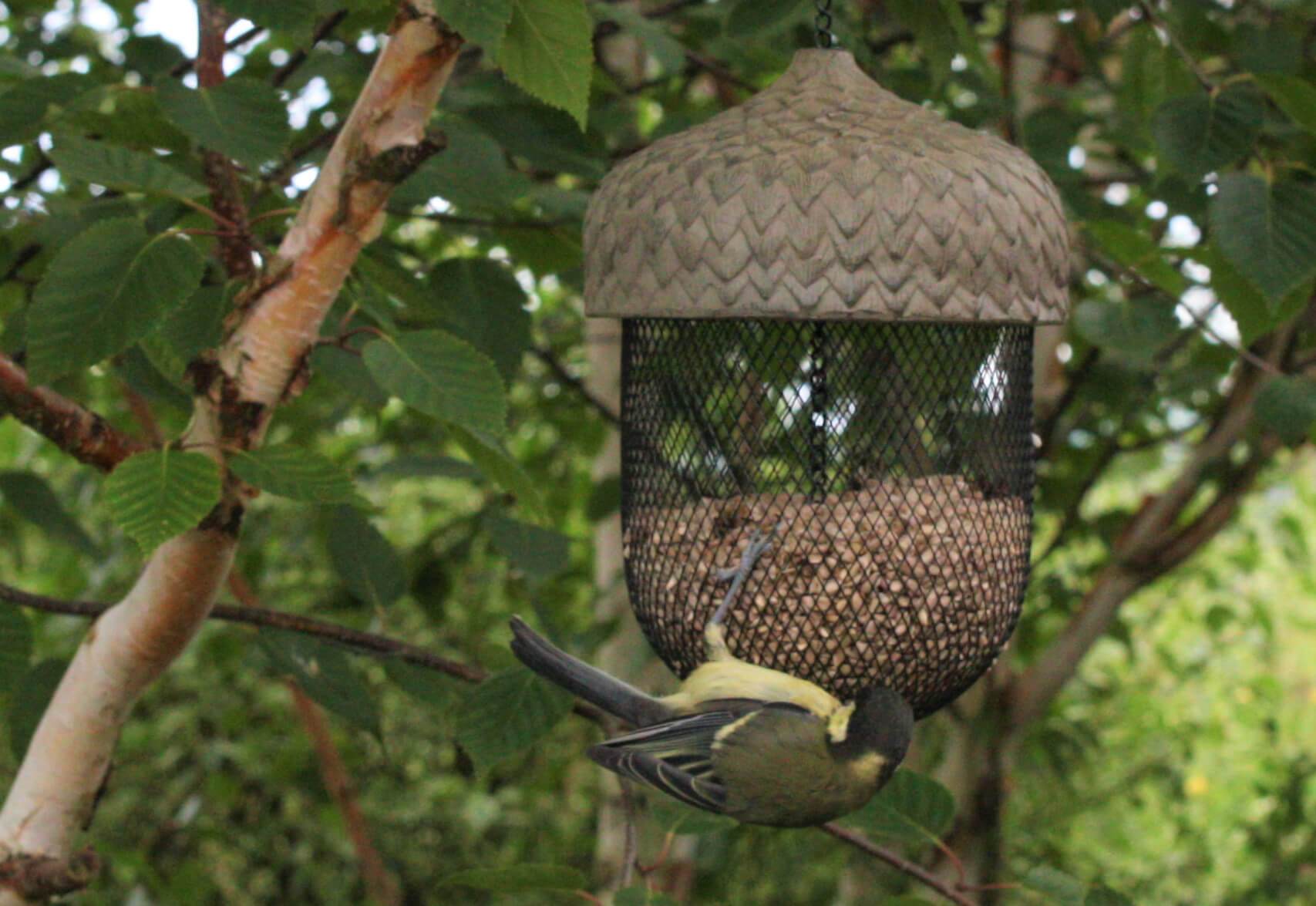 Bird Feeders Gardenesque UK