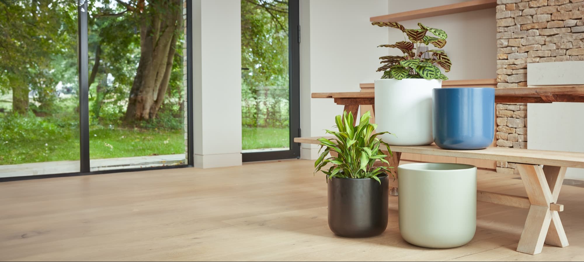 Indoor & Bonsai Pots - Gardenesque