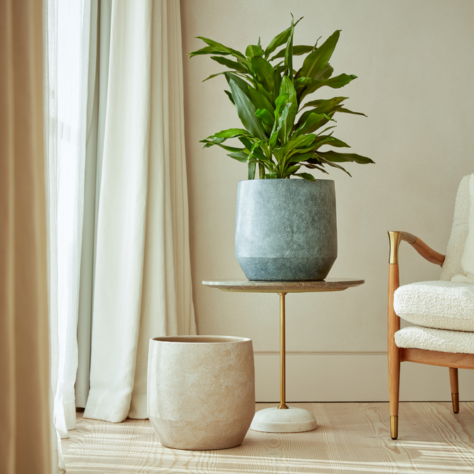 Leandro | Indoor Plant Pot