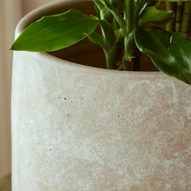 Leandro | Indoor Plant Pot