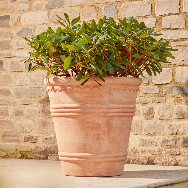 Full view of the Amara Terracotta Pot, featuring a classic, elegant design with subtle texture and a light terracotta finish. Ideal for enhancing gardens and outdoor spaces with its sophisticated appearance.