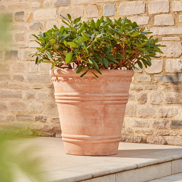 Full view of the Amara Terracotta Pot, featuring a classic, elegant design with subtle texture and a light terracotta finish. Ideal for enhancing gardens and outdoor spaces with its sophisticated appearance.