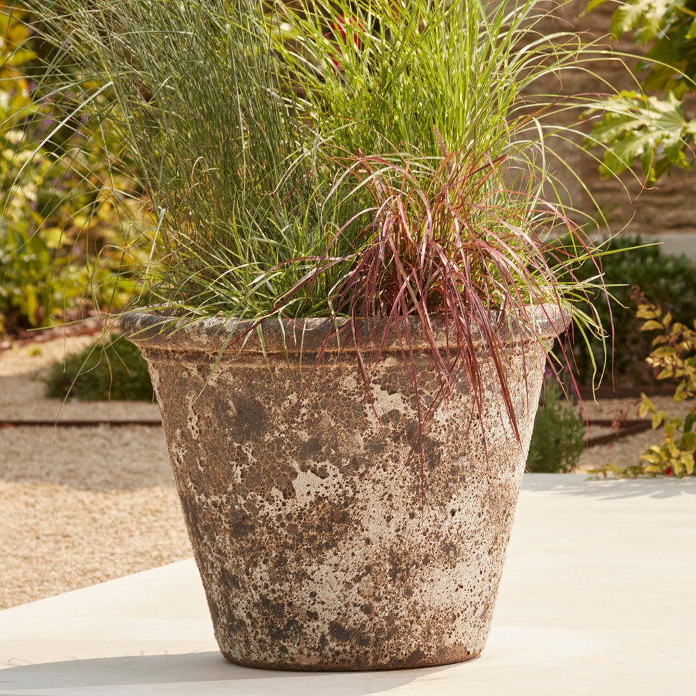 Close-up of the Ancient Glazed Stone Plant Pot’s hand-finished salt glaze, highlighting its organic weathered texture and natural stone-inspired tones.