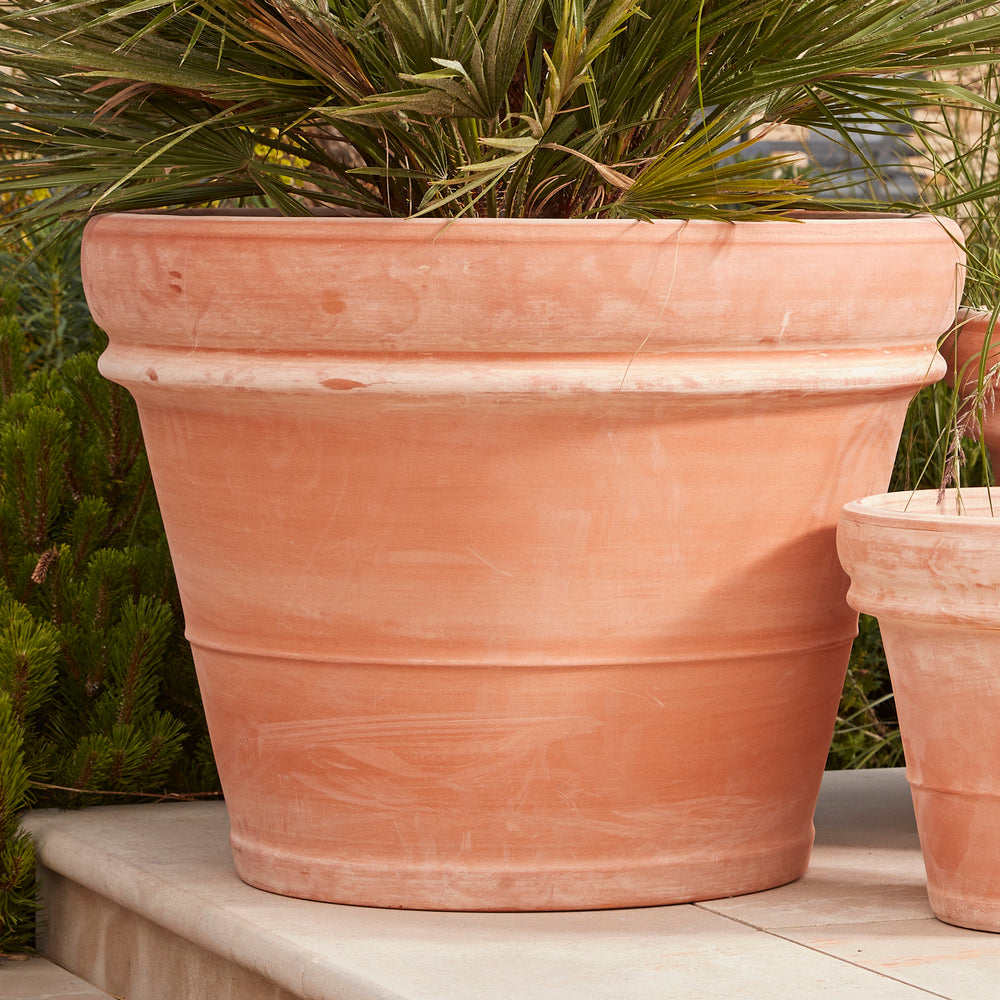 Bordo Italia Extra Large Terracotta Pot with a classic rolled rim, displayed on a sunlit patio with lush greenery. A handcrafted Italian planter, ideal for trees and floral arrangements.