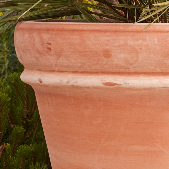 Bordo Extra Large Italian Terracotta Pots - Handmade Terracotta in Italy