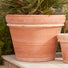 Bordo Extra Large Italian Terracotta Pots - Handmade Terracotta in Italy