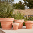Bordo Italian Terracotta Pots in Multiple Sizes