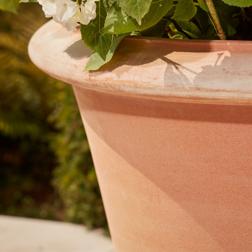 A close-up shot of the rim of a terracotta pot, showcasing its earthy texture and warm orange tones. The rim is adorned with delicate greenery and small flowers, highlighting the natural beauty of the pot's design.