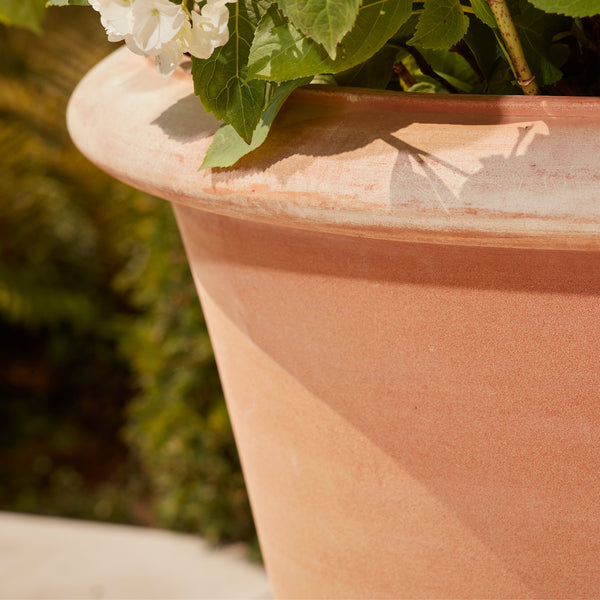 Clayton Grande | Terracotta Plant Pot