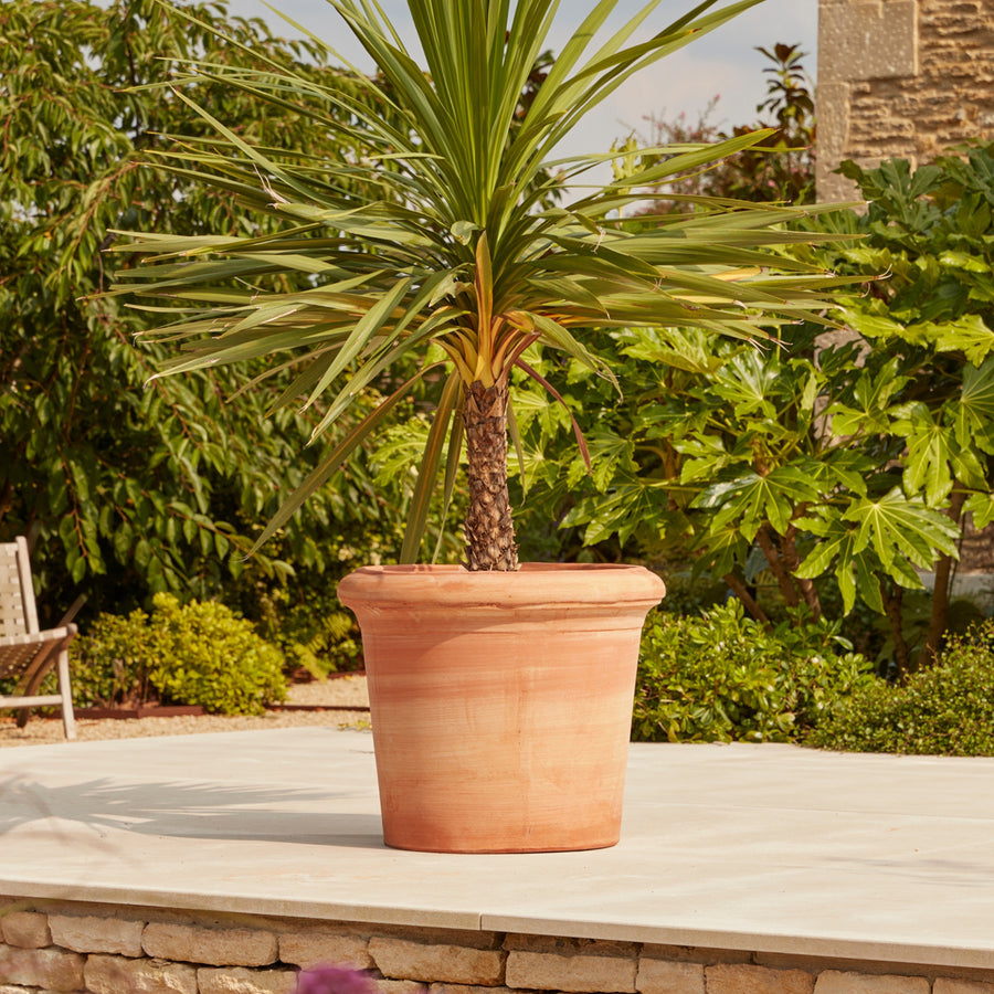 Florence Large Terracotta Pot with a smooth, handcrafted finish, placed on a sunlit patio with a palm tree. A durable, frost-proof Italian terracotta planter ideal for olive trees and Mediterranean plants.