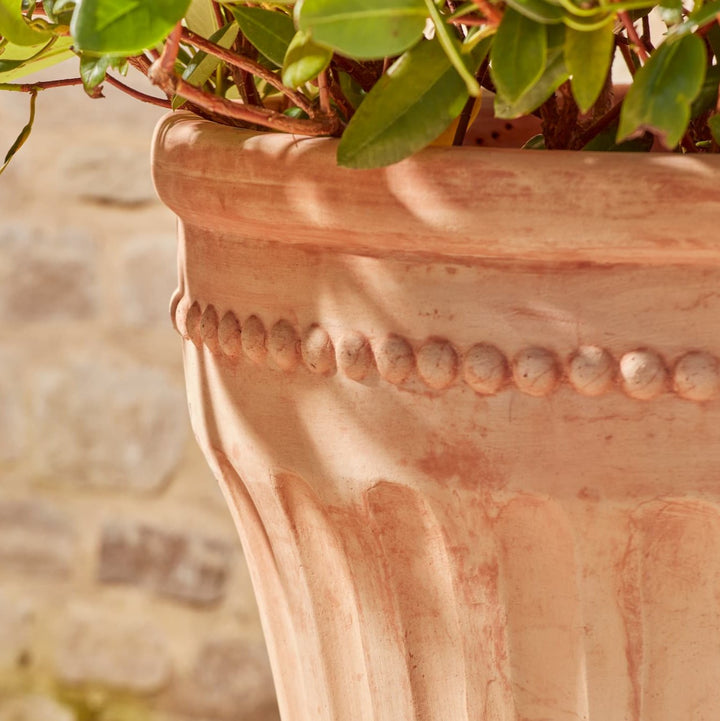 Close-up of the rim of the Lucie Large Terracotta Pot, highlighting its smooth, natural finish and the slight curvature that accentuates the pot's sophisticated silhouette.