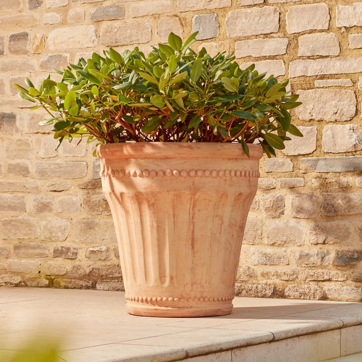 Full view of the Lucie Large Terracotta Pot, showcasing its simple, elegant design with a textured finish that complements its robust shape. The pot's light, sun-kissed terracotta hue enhances outdoor spaces, adding timeless style.