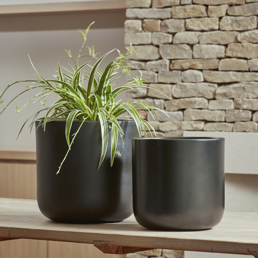 Nova Indoor Plant Pots in black and neutral tones, showcasing a sleek, contemporary finish and rounded silhouette.