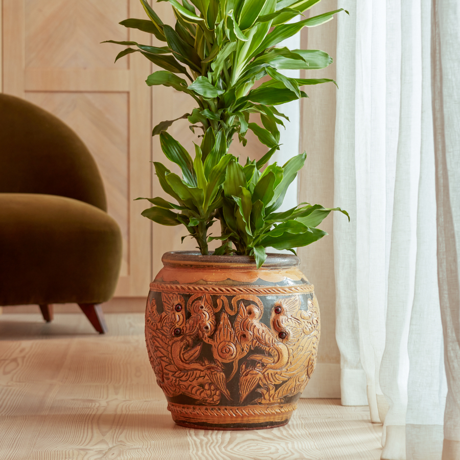 Phaya Indoor Plant Pot with an intricate hand-carved design, featuring organic curves and a smooth finish, displayed in a modern interior.