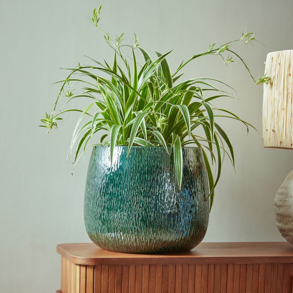 Ramada Indoor Plant Pot in a deep blue glaze with an artisanal textured finish, styled with a lush green plant in a modern interior.