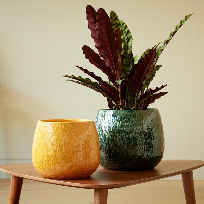 Ramada Indoor Plant Pot in both yellow and green colours, next to each other