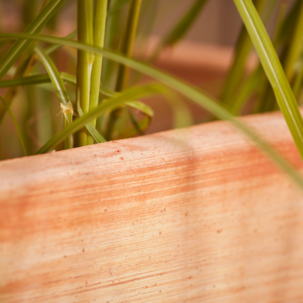 Detailed view of the Sardinia Tall Square Tapered Terracotta Pot’s smooth rim and textured terracotta surface, highlighting its handcrafted quality and durable construction.