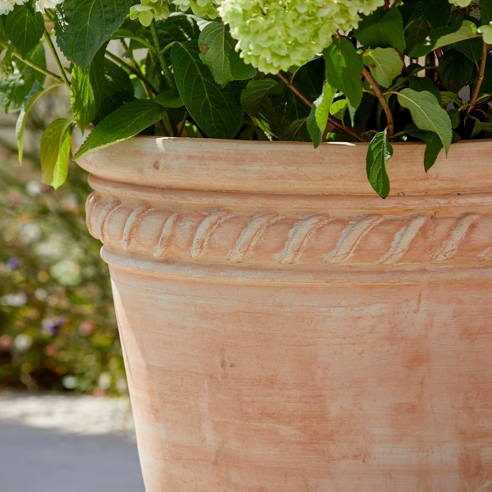 Close-up of the rim of the Sienna Terracotta Pot, showcasing its detailed texture and smooth edges that add to the pot's refined and artisan look.