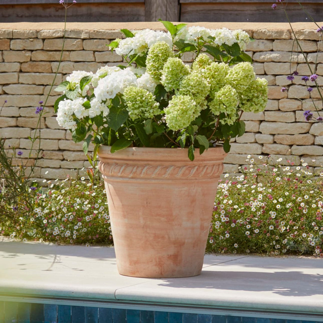 Full view of the Sienna Terracotta Pot, featuring a distinctive design with an elegant, textured finish. The pot's light terracotta colour and timeless shape make it a perfect addition to any garden, patio, or outdoor area.