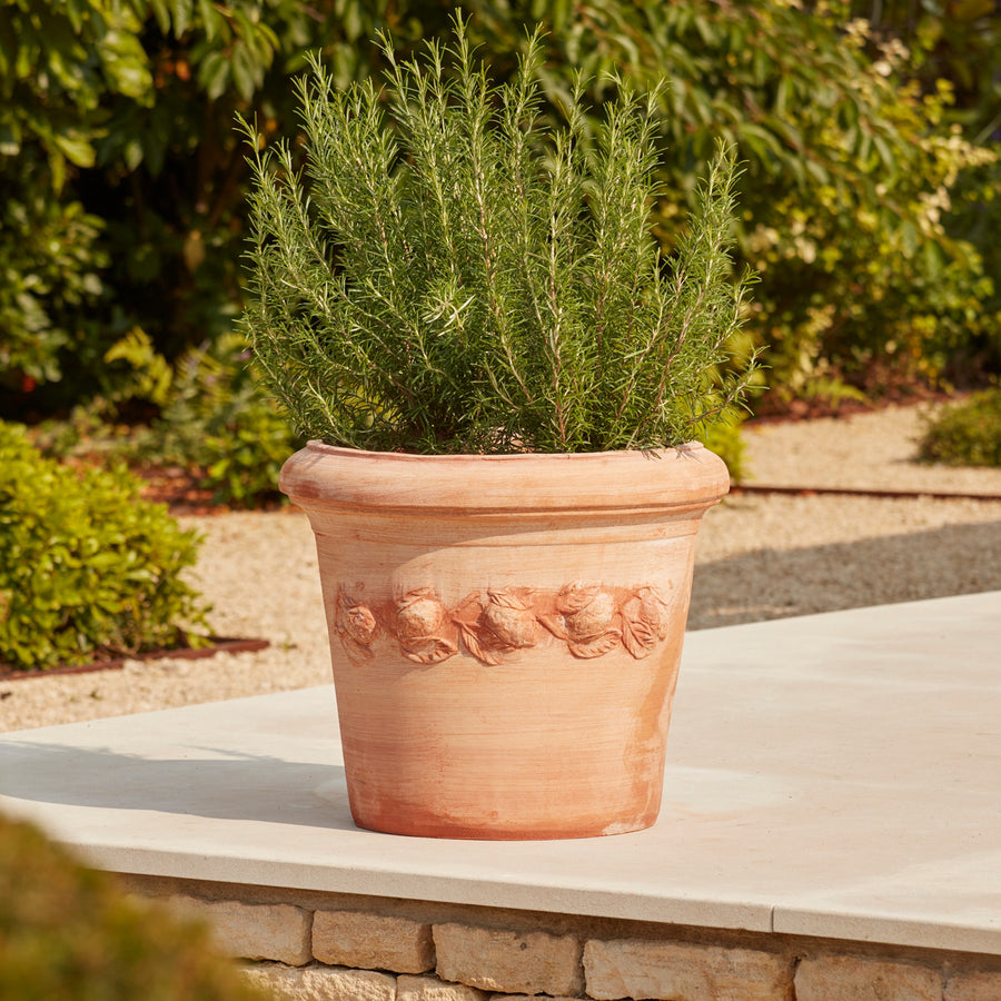 Sorrento Citrus Terracotta Pot with a handcrafted floral garland motif, placed on a sunlit patio and planted with rosemary. A durable, frost-proof Italian terracotta planter perfect for citrus and fruit trees.