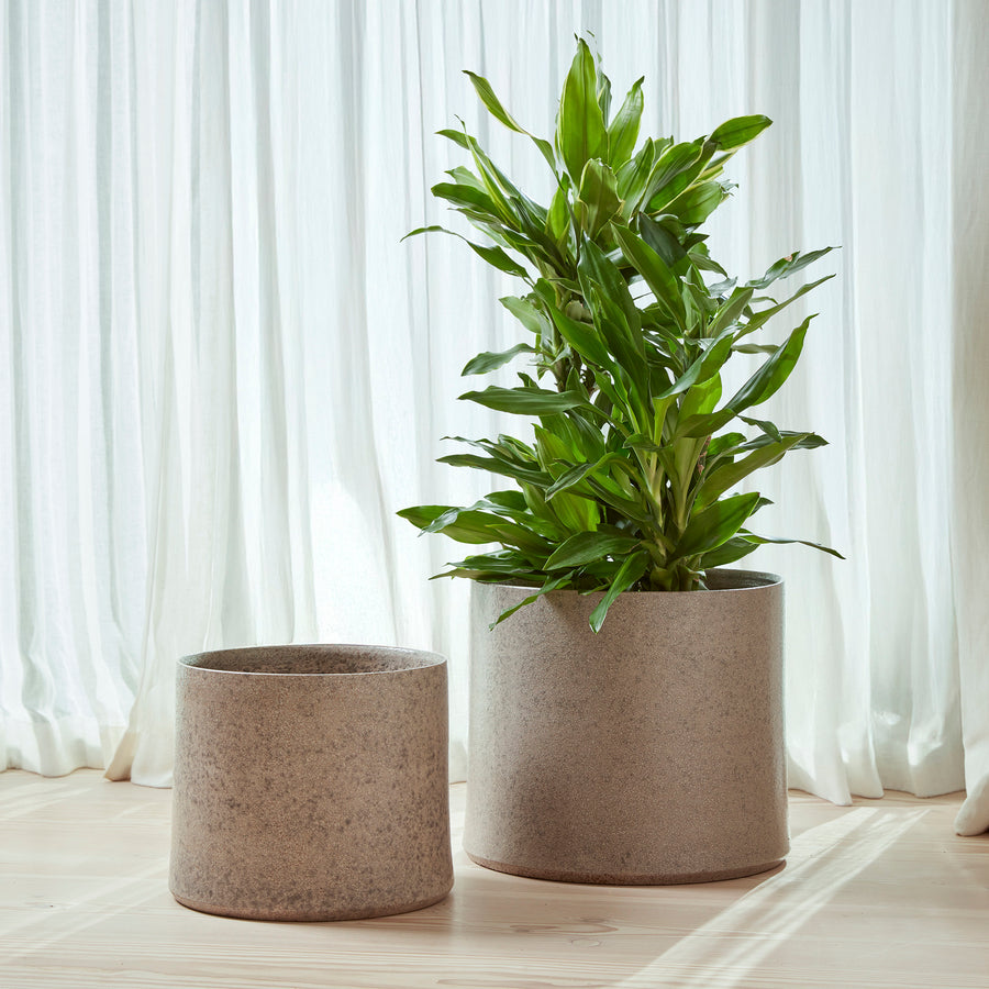 Torres Indoor Plant Pots in a textured neutral finish, featuring a classic tapered design, displayed with lush greenery in a bright interior.