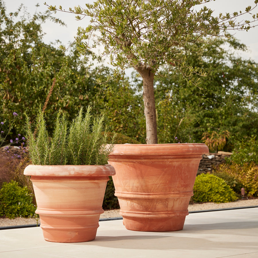 Verona Extra Large Terracotta Pots displayed on a patio, featuring classic Italian craftsmanship, breathable clay, and a frostproof design for trees and shrubs.