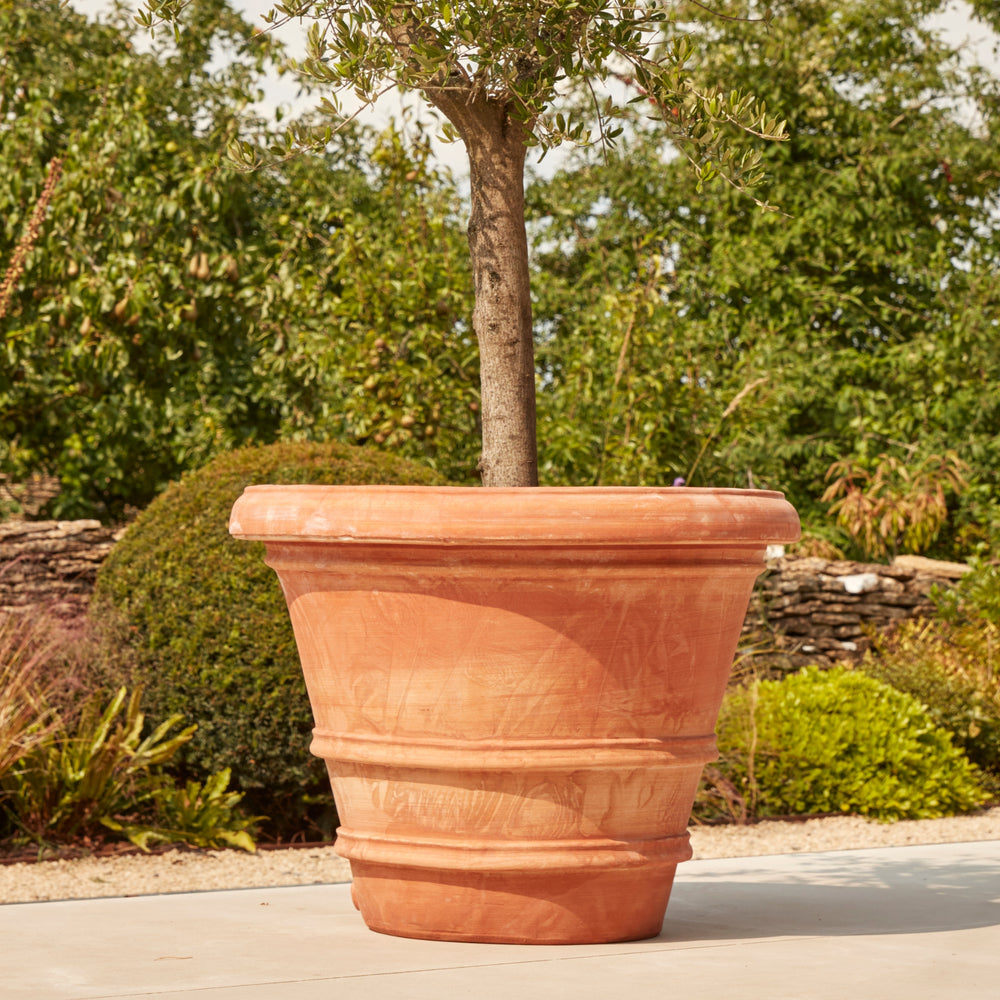 Handmade Verona terracotta pot with a Mediterranean-style finish, showcasing its natural clay texture and ideal size for statement planting.