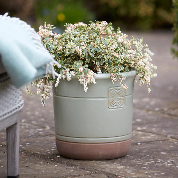 A sage green and terracotta planter on a stone patio, filled with cascading variegated foliage, creating a soft and elegant garden feature.