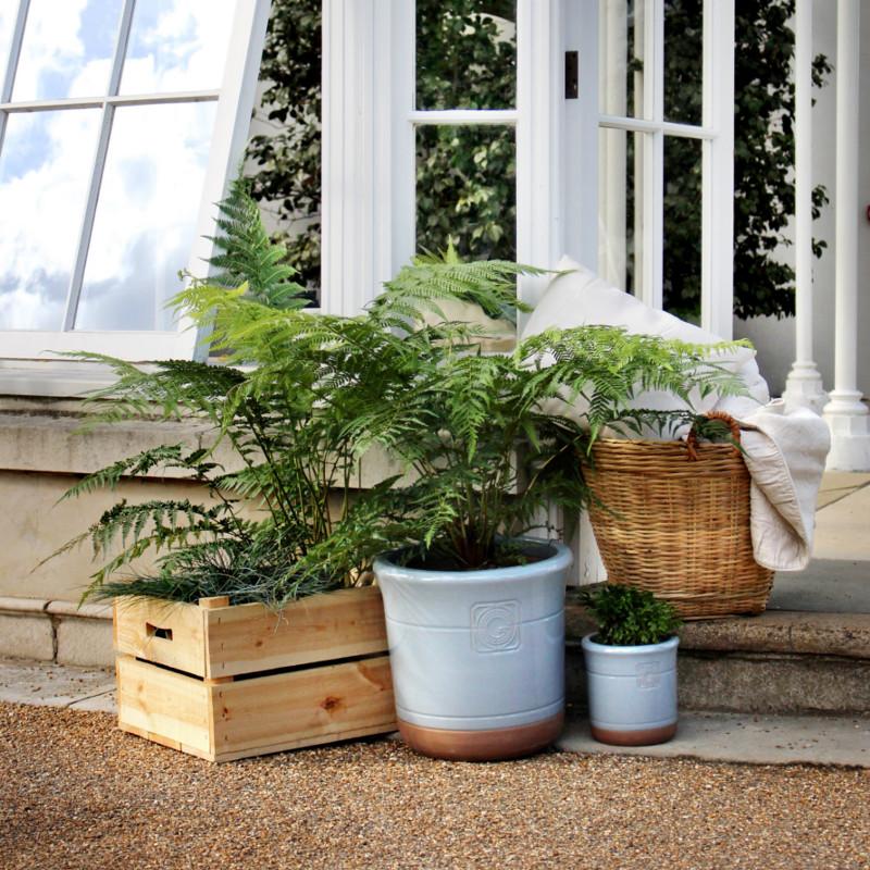 A pair of light blue and terracotta planters in different sizes, displayed on wooden steps with vibrant green plants.