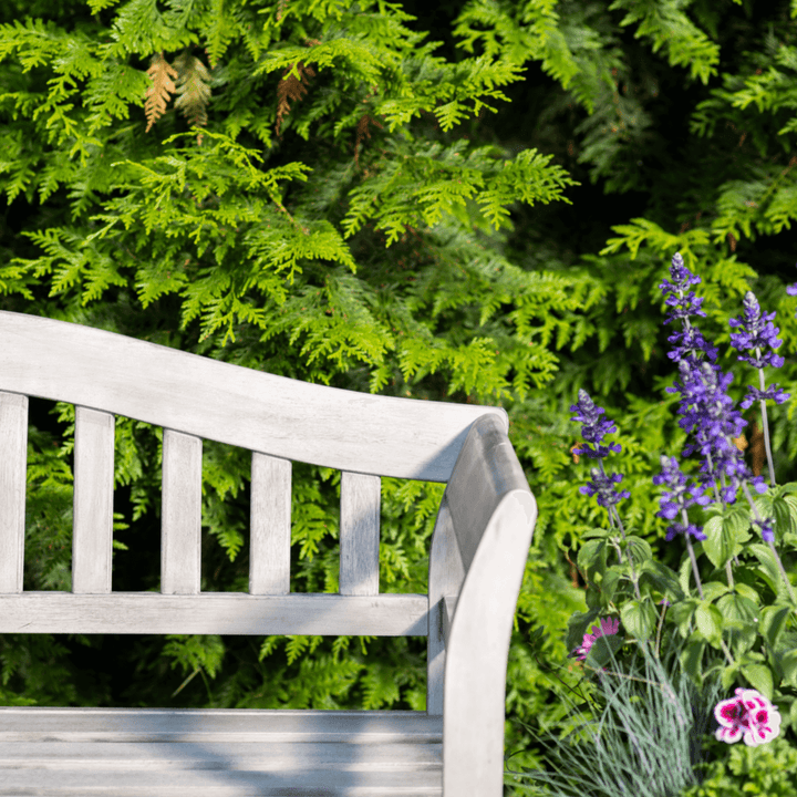 Side profile of the Repton Queen Wooden Bench, set against lush greenery for a classic outdoor look.