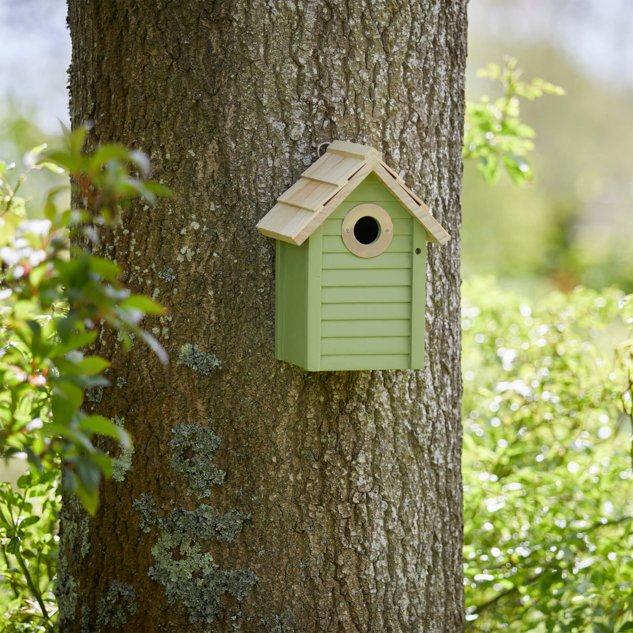 Colourful Bird House with Hanging Hook | Gardenesque